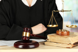 Litigation of Employment Law Cases-133644752